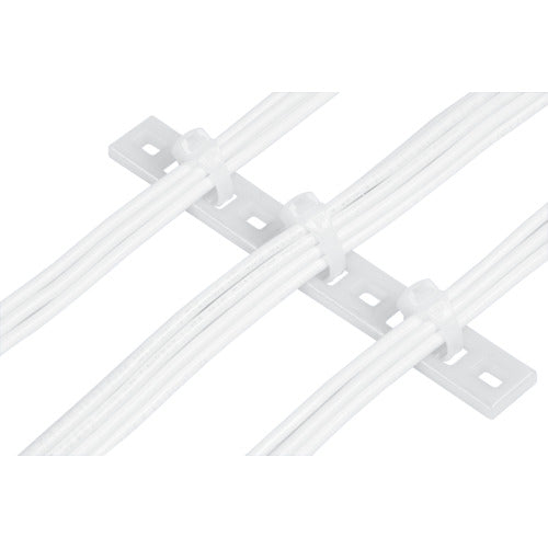 PANDUIT Fixture Multi-type Plate (100 pieces) Width 76.2 Fixed M5 Screw MTP2S-E10-C 1 bag