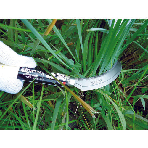 Daishin Houriki Stainless Steel Saw Sickle 800478 1 pc