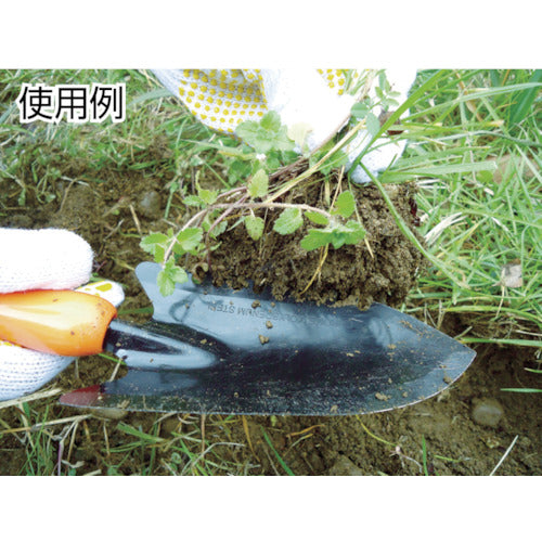 Daishin Easy Scoop 700808 1 unit