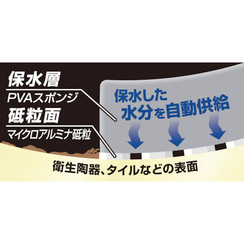 ＡＩＯＮ　保水研磨パッド　ＰＲＯ　衛生陶器・タイル用　細目　782-GY　1 個