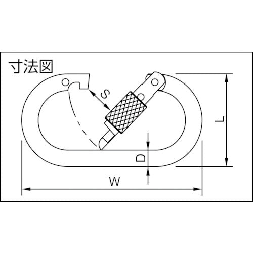 123 Carabiner Iron Rescue KR10 1 piece