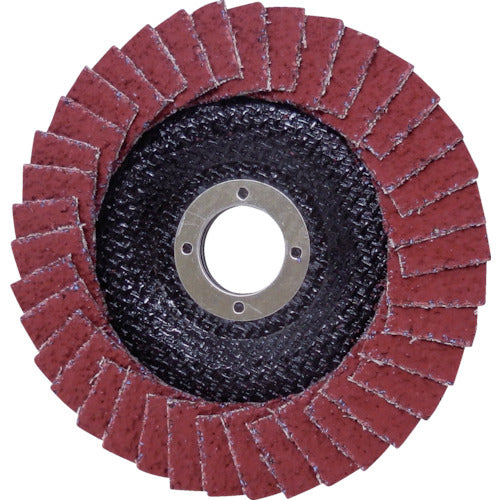 AC Techno Disc KEI 125x22 #36 TD12522-CEK-36 5 pieces