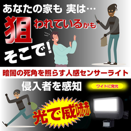 ELPA LED sensor light, bulb used: 20W ESL-W2001AC, 1 unit