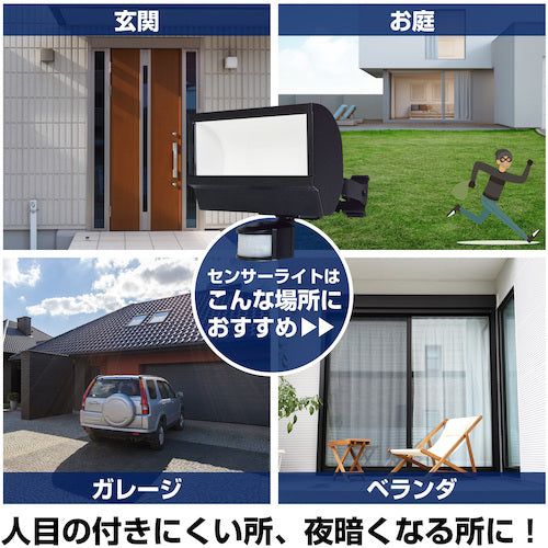 ELPA LED sensor light, bulb used: 20W ESL-W2001AC, 1 unit