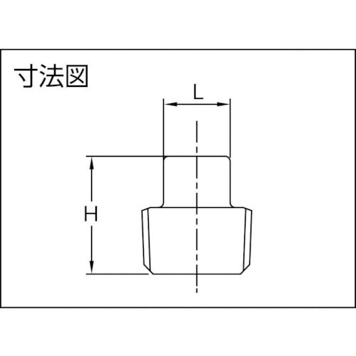 ＴＲＵＳＣＯ　ねじ込み管継手　ＳＵＳ　四角プラグ　６Ａ　TP-6A　1 個