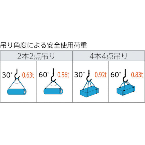TRUSCO 와이어 로프 슬링 A 타입 알루미늄 록 6mmX6m TWAL-6S6 1개