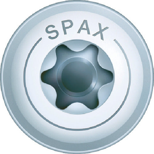 ＳＰＡＸ　【売切廃番】　ＷＩＲＯＸ　ワッシャーネジ　６．０×１００　（１００本入）　0251750601005　1 箱