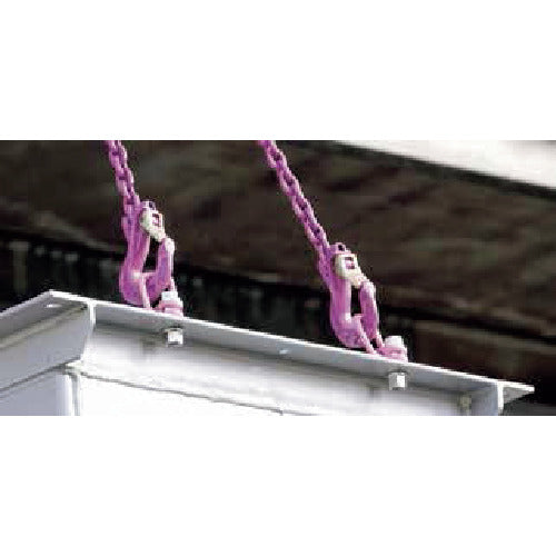 ＲＵＤ　ロードリングインチサイズ　ＶＬＢＧ−Ｚ　２．５Ｔ　３／４−１０ＵＮＣ　VLBG-Z 2.5T 3/4-10UNC　1 個