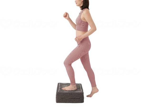 Knees trunk jumping Hop stepper Brown