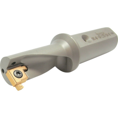 이스칼 초다기능 공구 DRG-MF DRG-MF-20R-2.25D-25A-10 1개