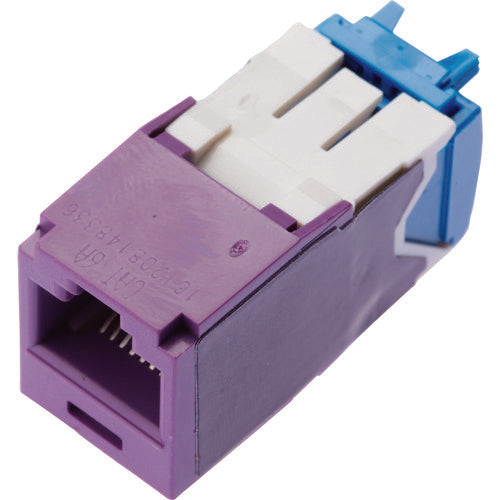 PANDUIT 카테고리 6A 모듈러 잭 보라색 CJ6X88TGVL 1 개