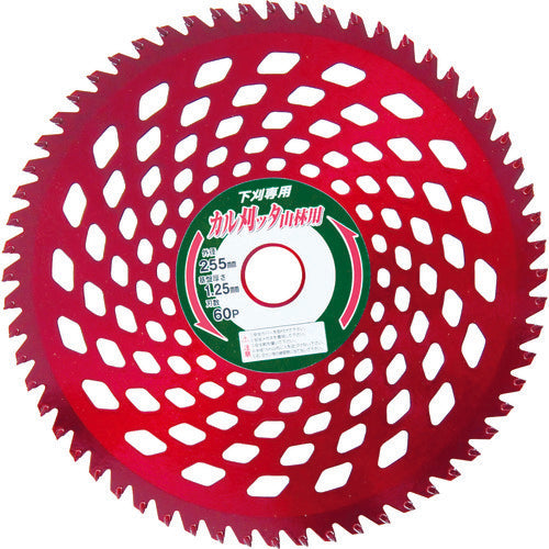 IWOOD Brushcutter Chip Saw, Calcutta, for Forests and Underbrush, Double-sided Blade, 255X60P, 98137, 1 Piece