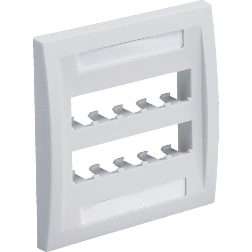 PANDUIT Faceplate for 10 Ports, Off-White, CFPE10IW-2GY, 1 Piece