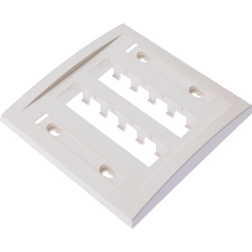 PANDUIT Faceplate for 10 Ports, Off-White, CFPE10IW-2GY, 1 Piece