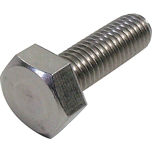 ＤＡＩＤОＨＡＮＴ　ＨＰ　ステンレス六角ボルト　６×５０　２本入　10185728　1 袋