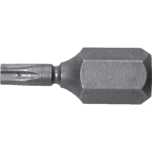 Annex Grooved Ultra Short Hex Lobe Bit Set of 1 T8 x 19 (with Hole) AK-51P-T8-19 1 pc