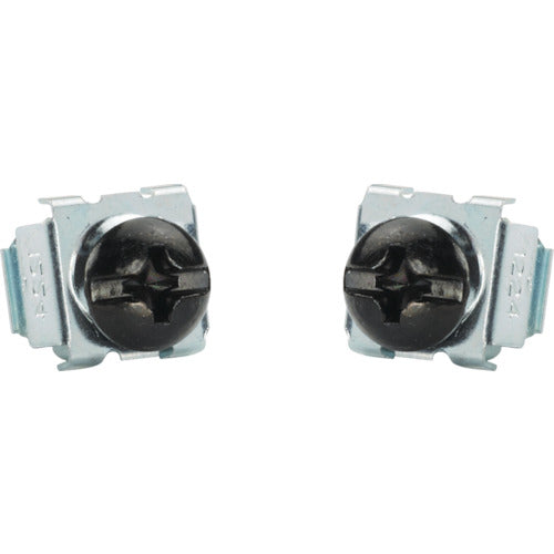 PANDUIT M5 Cage Nuts &amp; Screws (100 pieces) CNWSM5-C 1 bag