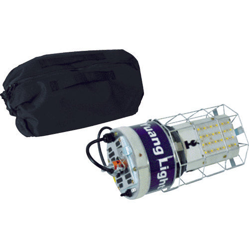 BERUF 풍선형 투광기 TK-BL100W 87211 1대