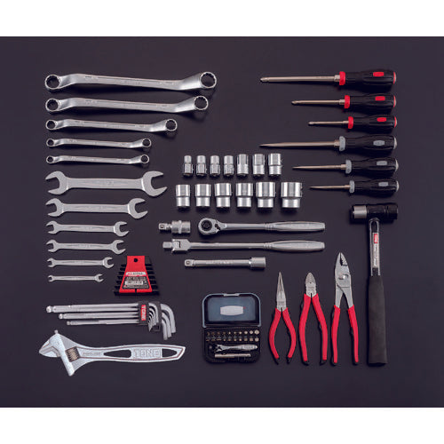 ＴＯＮＥ　整備用工具セット　ツールセット　（シルバー仕様）　間口４３３×奥行２２０×高さ２４０ｍｍ　TSST430SV　1 Ｓ