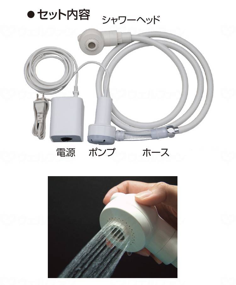 키요타 세발 시알