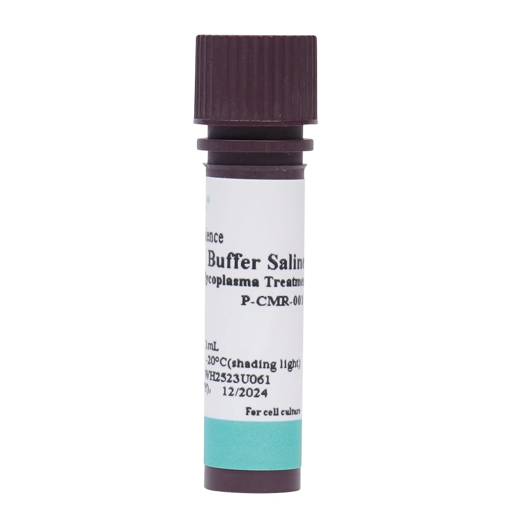 마이코플라스마 제거 시약(200×) P-CMR-001 1개
