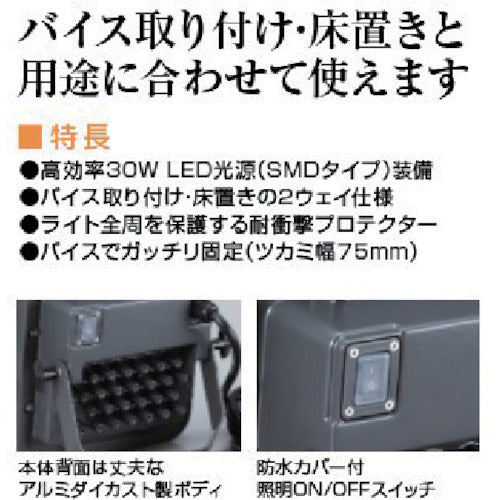 ハタヤ　３０Ｗ　ＬＥＤケイ・ライト　LWA-30　1 台