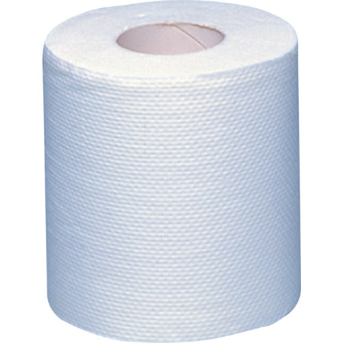 Crecia Toilet Paper EF Toilet Roll 40m Unpackaged 1 case of 80 (20811/20812) 20812 1 CS