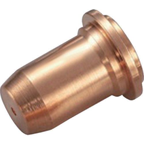 Mite Chip (10 pieces) PTT-40A 1 box