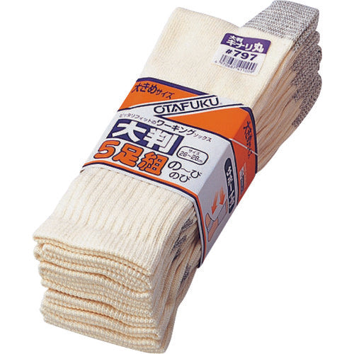 오타 후쿠 797 노비 대형 키나리 마루 5 족 797 1 쌍