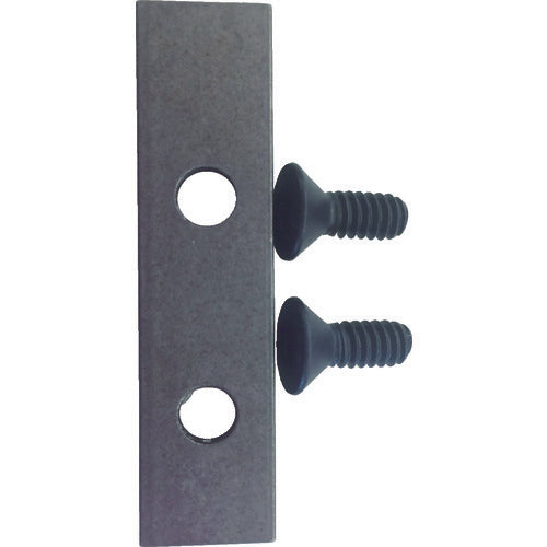 RIDGID Wear Pad W/Screw F/HC-450 59187 1 pc