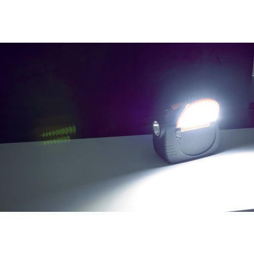 NICHIDO 엔진 스타터 빅뱅 F1용 백업 케이블 시가 플러그 타입 12V 전용 AS-BUC-CG 1개