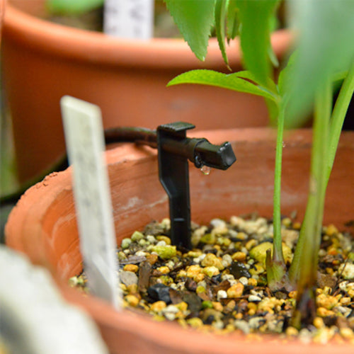 Takagi Watering Starter Kit with Timer (for Potted Plants) GKK105 1 S