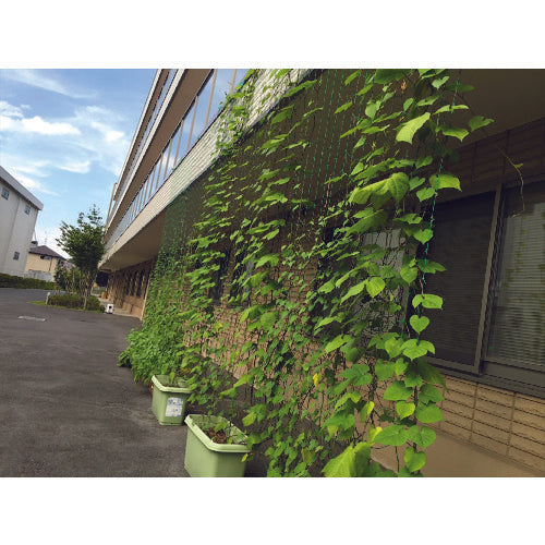 Ｄｉｏ　つるもの園芸ネット　緑　１０ｃｍ角目　幅０．９ｍ×長さ１．８ｍ　260954　1 枚