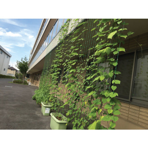 Ｄｉｏ　つるもの園芸ネット　緑　１０ｃｍ角目　幅１．８ｍ×長さ２．７ｍ　260978　1 枚