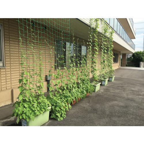 Ｄｉｏ　つるもの園芸ネット　緑　１０ｃｍ角目　幅１．８ｍ×長さ２．７ｍ　260978　1 枚
