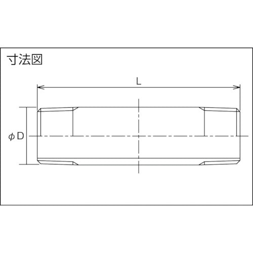 ＦＬＯＢＡＬ　ねじ込み管継手　両長ニップル（ステンレス３１６ＴＰ）　０４１１４９０１　呼び径（Ａ）６／呼び径（Ｂ）１／８　VLN-316-01050　1 個