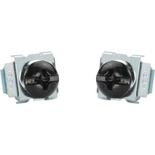 PANDUIT M6 Cage Nuts &amp; Screws (100 pieces) CNWSM6-C 1 bag