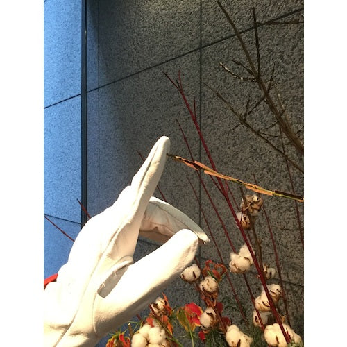 シモン　牛本革手袋　ＣＧ７１７　CG717-SS　1 双