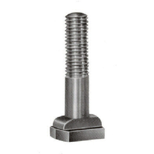 ニューストロング　Ｔスロットボルト　ネジ　Ｍ２０　全長　１００ミリ　TBM-20100　1 本