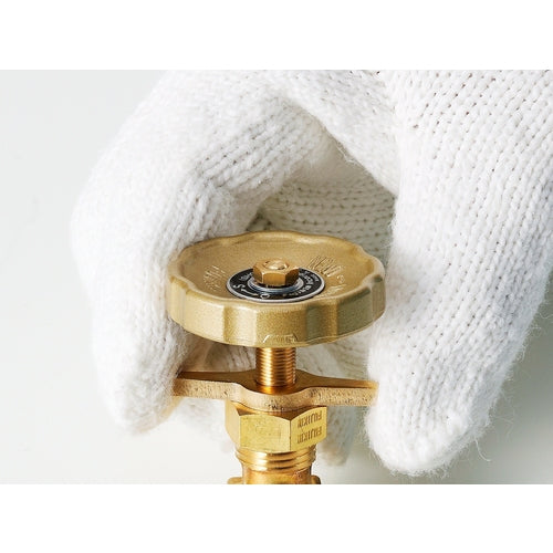 Fujikin Brass Needle Valve 1/4B with Propeller Nut DH-12LB-R 1 pc