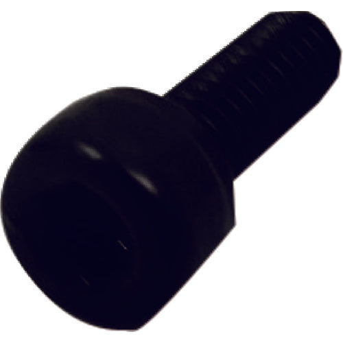 VALQUA 개스킷 커터 절삭날용 누름 볼트 CUTTER-P10000 1개