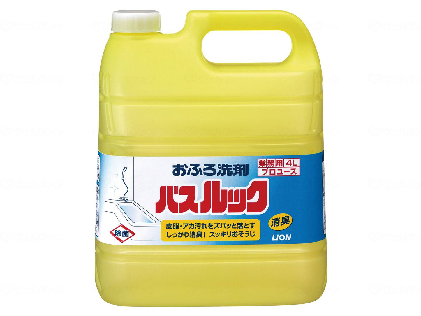 라이온 하이 진 바스룩 책 4L