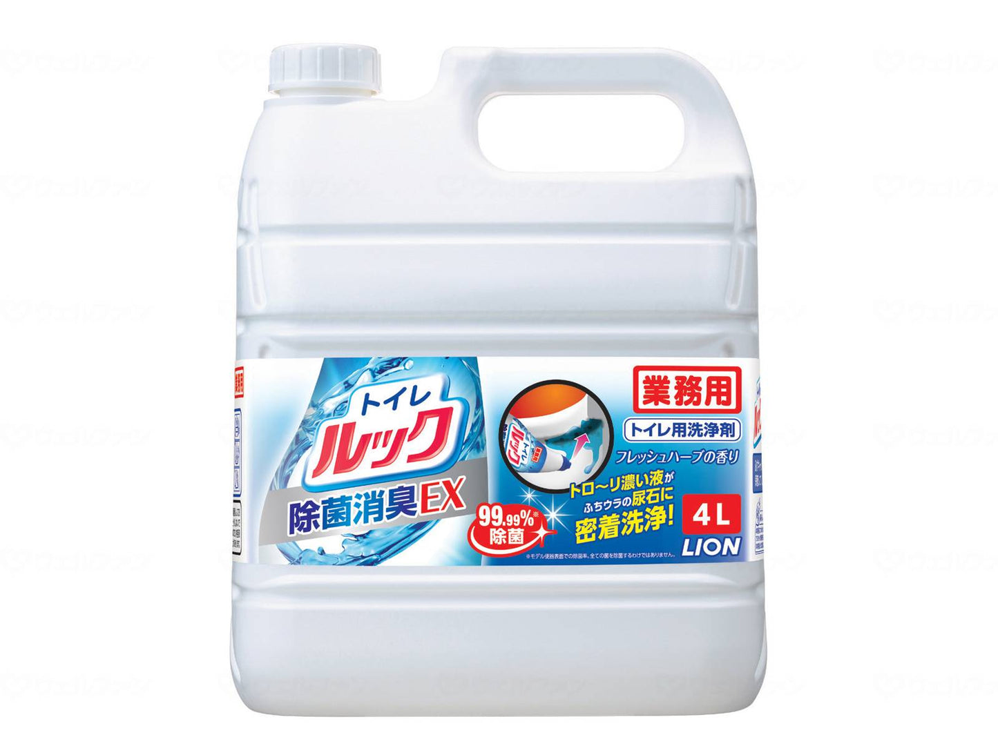 라이온 하이 진 화장실 룩 4L