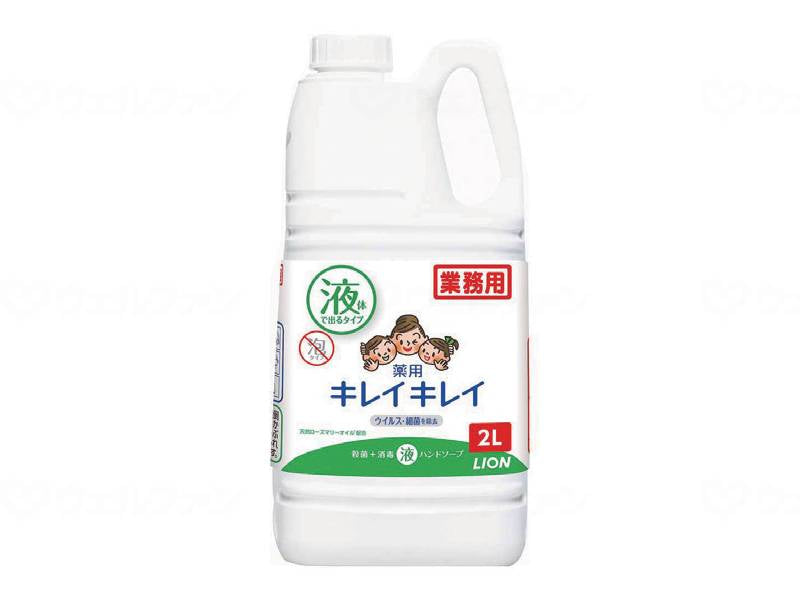 라이온 하이 진 키라이 키이 의약품 반도 책 2L
