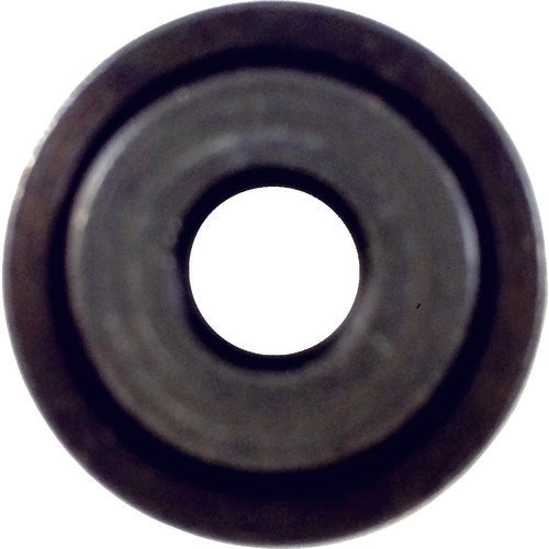 Sankyo Clean Takun Ryobi Washer P401021G 1 piece