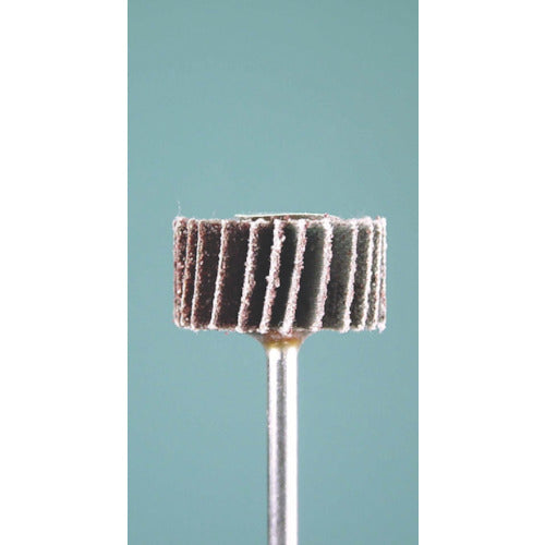 Minimo Radial Sander #60 φ20 (3 pieces) EA1121 1 bag