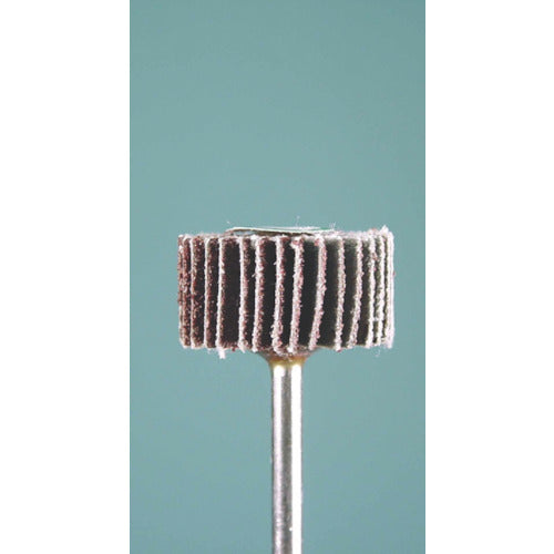 Minimo Radial Sander #80 φ20 (3 pieces) EA1122 1 bag