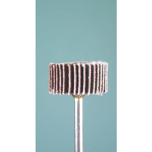 Minimo Radial Sander #120 φ20 (3 pieces) EA1123 1 bag