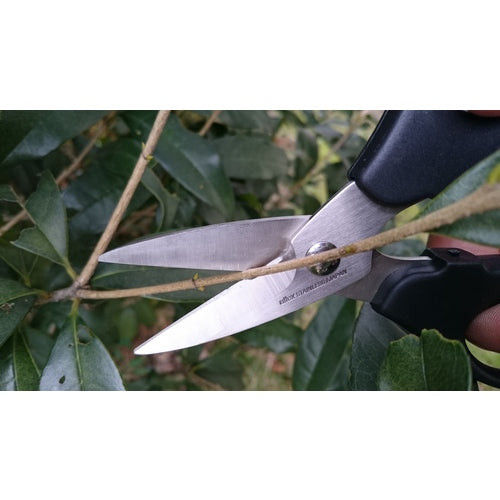 ALLEX Hard Scissors H-1 15151 1 pc