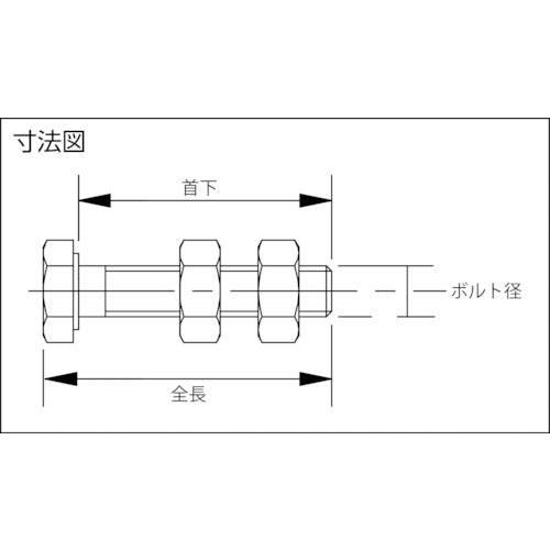 ＳＰＥＥＤＹ　Ｂ　スピーディブロック　六角コンタクトボルト（Ｍ６×４５）　10101　1 個